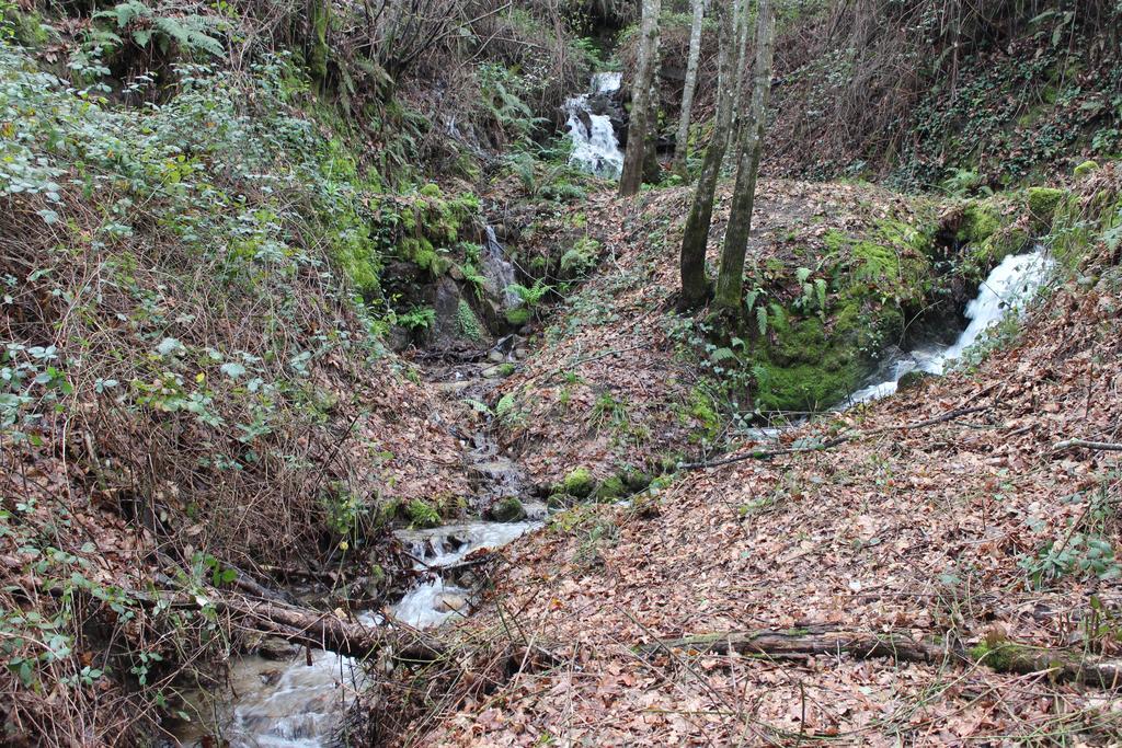 Eco Camping Juncal Hotel Marco de Canavezes Eksteriør billede